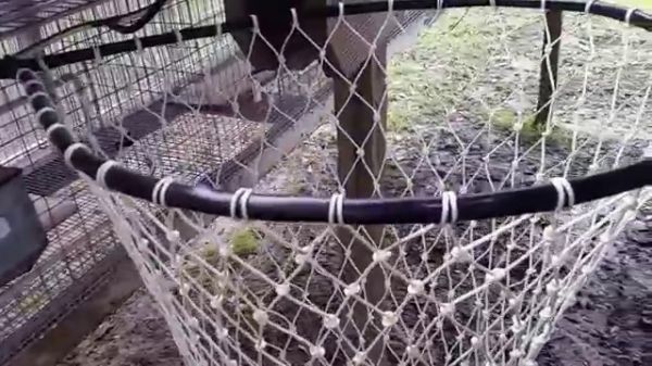 Puça para captura de animais  com rede reforçada